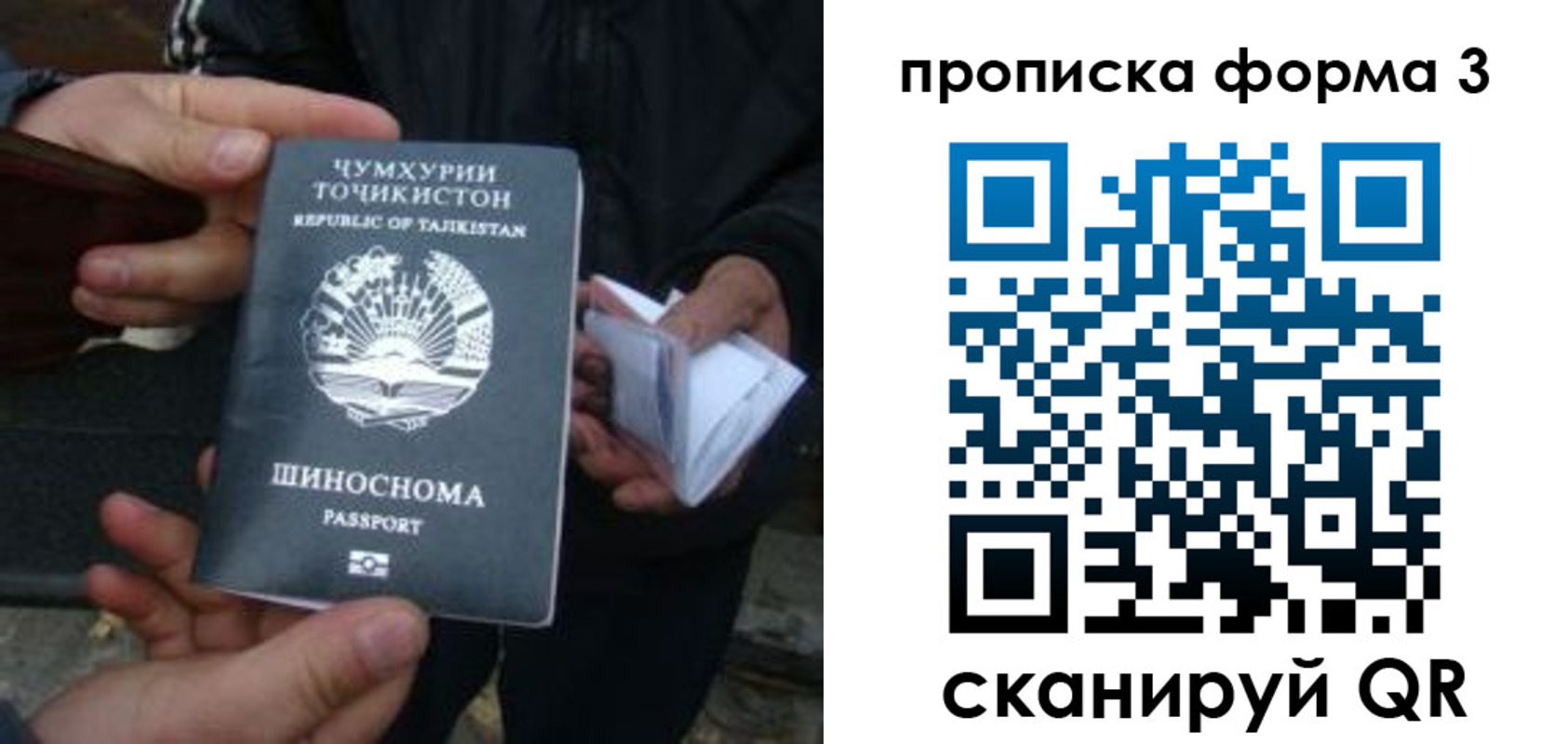прописка 2025 в Тульской области